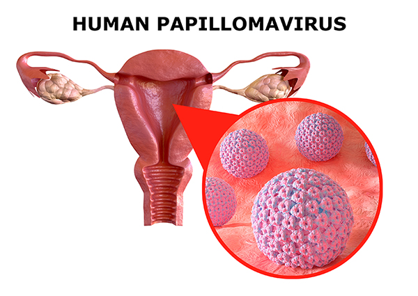 HPV.jpg